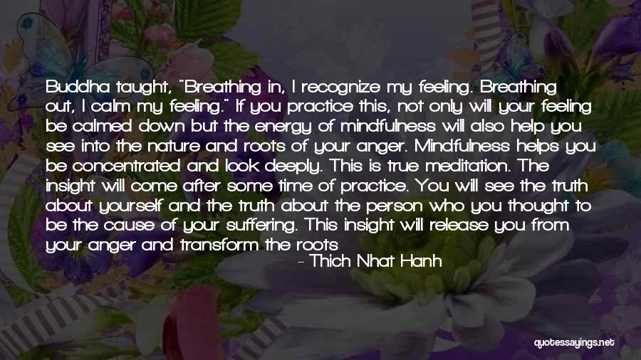 Feeling Of Happiness Quotes By Thich Nhat Hanh Feeling Of Happiness Quotes By Thich Nhat Hanh