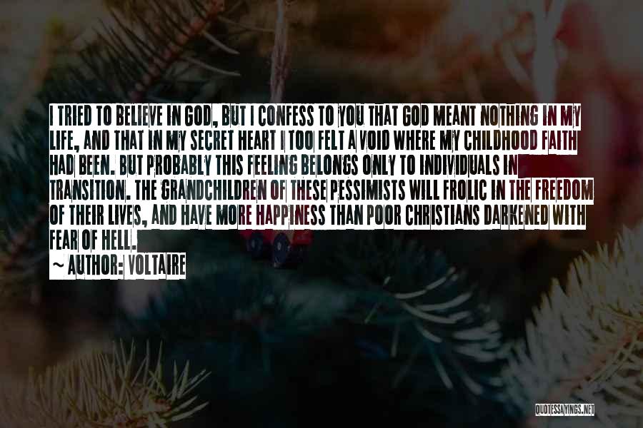 Feeling Of Happiness Quotes By Voltaire
