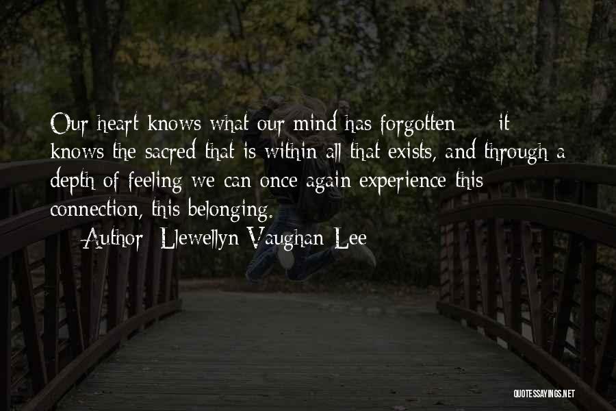 Feeling Of Heart Quotes By Llewellyn Vaughan-Lee