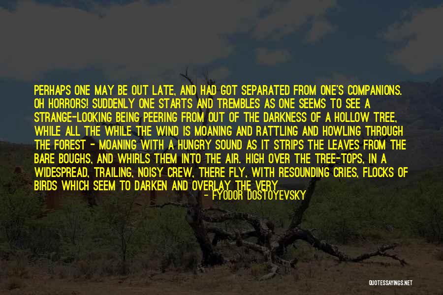 Feeling Of Home Quotes By Fyodor Dostoyevsky