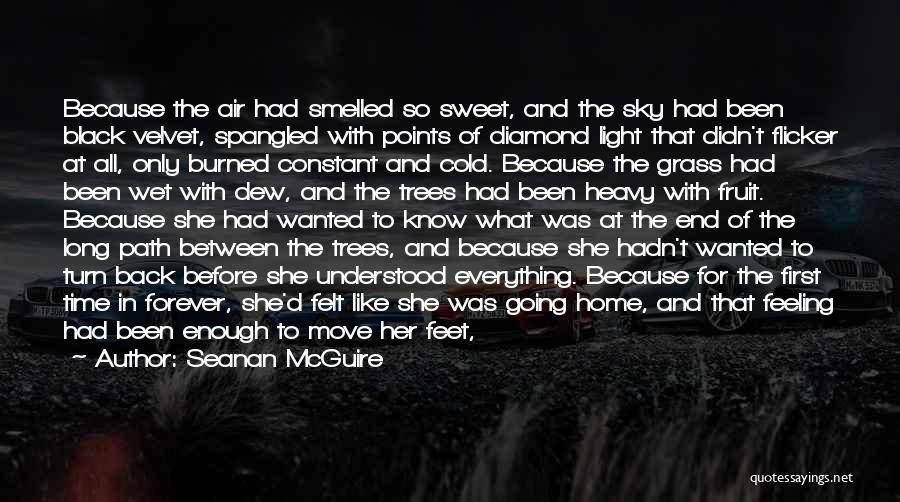 Feeling Of Home Quotes By Seanan McGuire