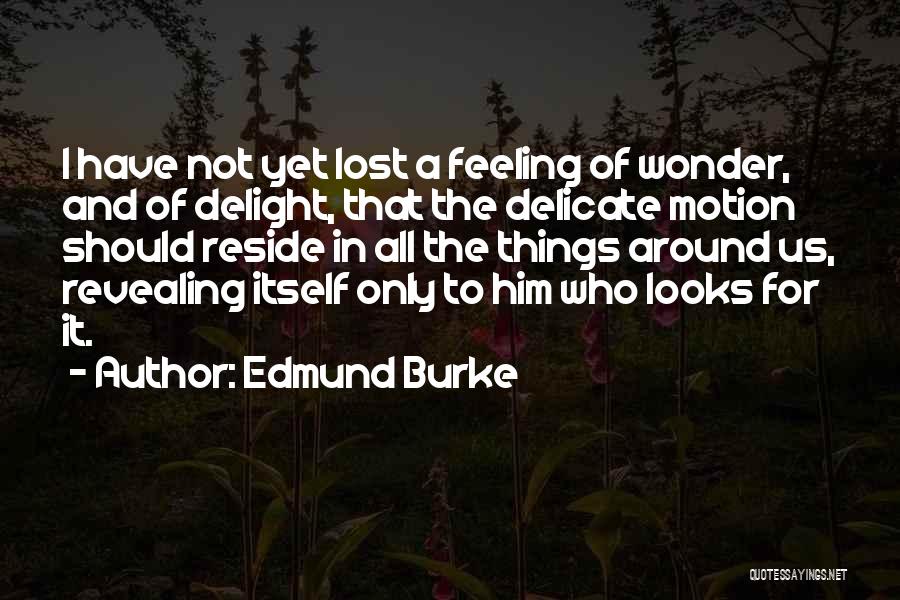 Feeling Of Lost Quotes By Edmund Burke