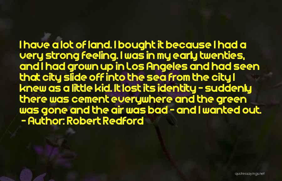 Feeling Of Lost Quotes By Robert Redford