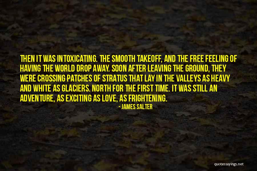 Feeling Of Love Quotes By James Salter Feeling Of Love Quotes By James Salter
