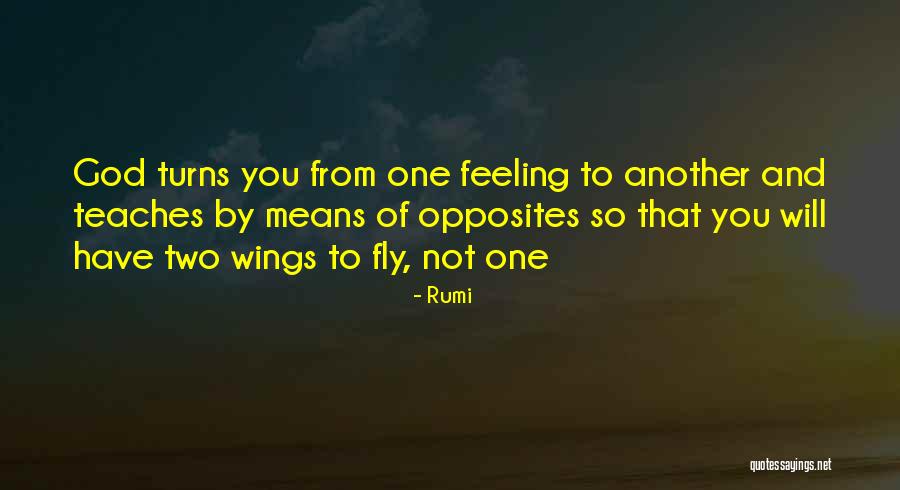 Feeling Of Love Quotes By Rumi Feeling Of Love Quotes By Rumi