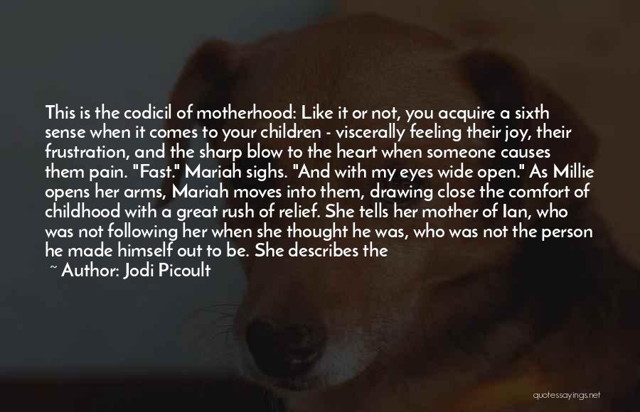 Feeling Of Mother Quotes By Jodi Picoult