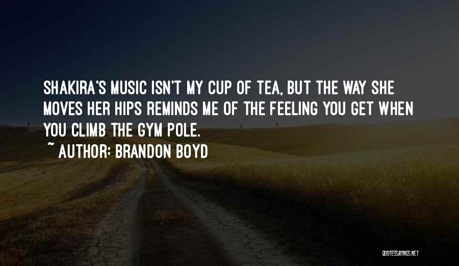 Feeling Of Music Quotes By Brandon Boyd