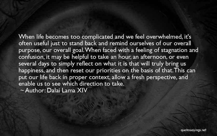 Feeling Overwhelmed With Life Quotes By Dalai Lama XIV
