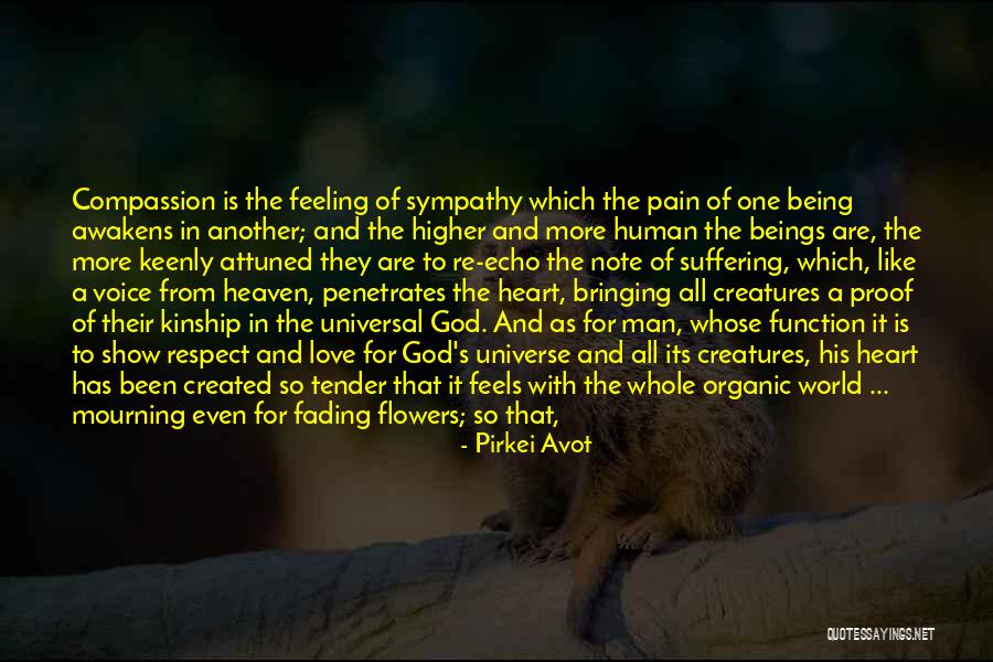 Feeling Pain In Love Quotes By Pirkei Avot Feeling Pain In Love Quotes By Pirkei Avot