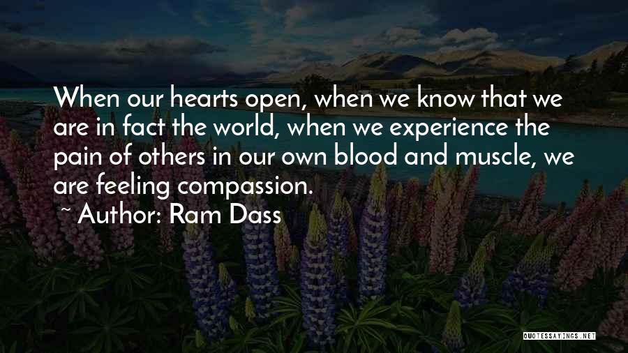 Feeling Pain Of Others Quotes By Ram Dass