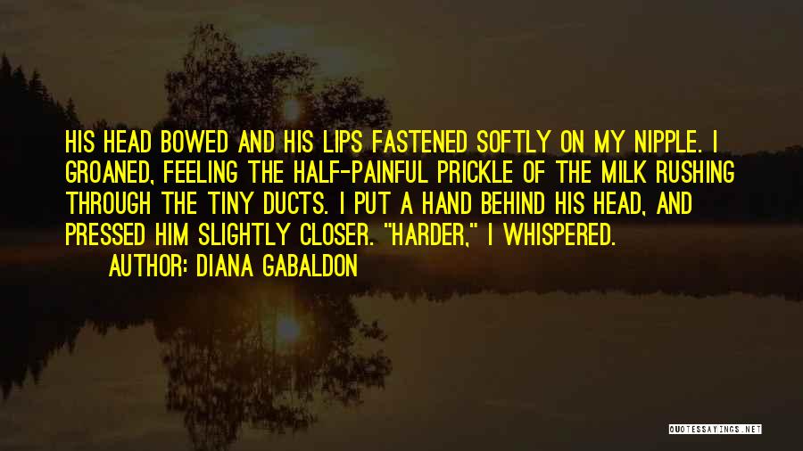 Feeling Painful Quotes By Diana Gabaldon