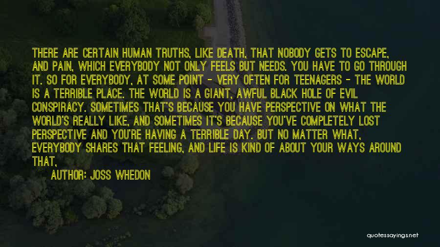 Feeling Really Lost Quotes By Joss Whedon