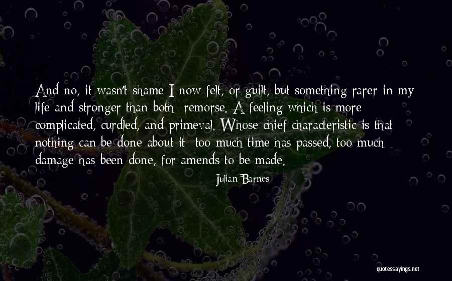 Feeling Remorse Quotes By Julian Barnes Feeling Remorse Quotes By Julian Barnes