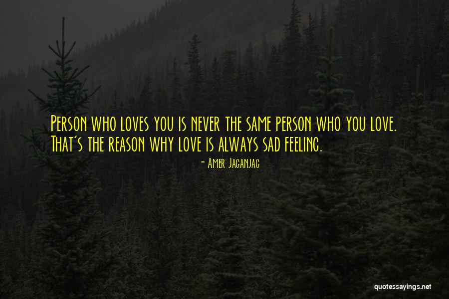 Feeling Sad In Love Quotes By Amer Jaganjac
