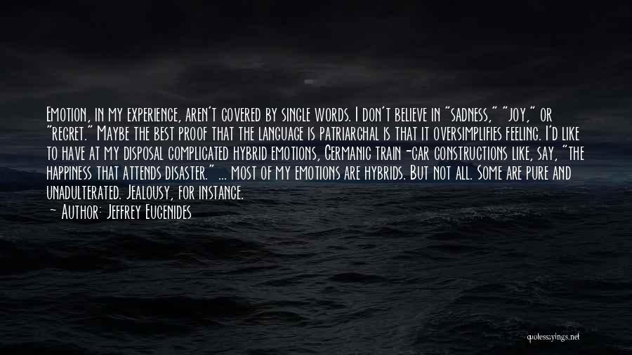 Feeling Sadness Quotes By Jeffrey Eugenides