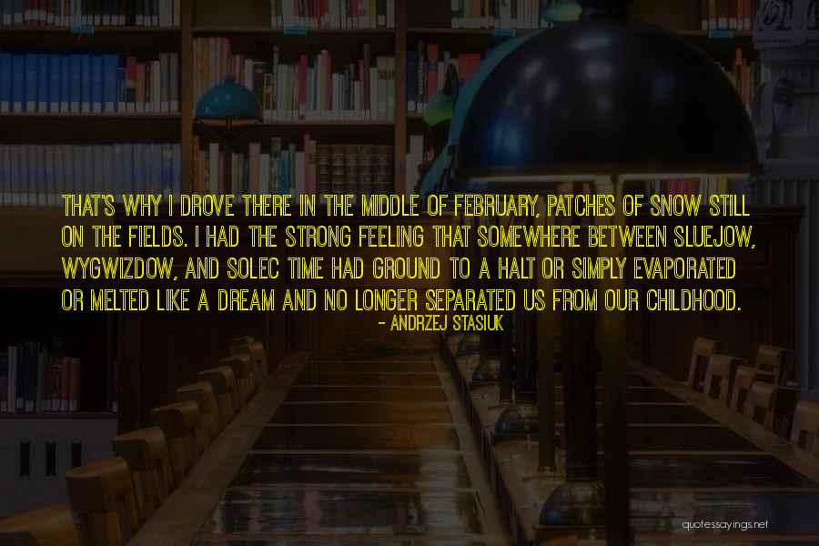 Feeling Separated Quotes By Andrzej Stasiuk Feeling Separated Quotes By Andrzej Stasiuk