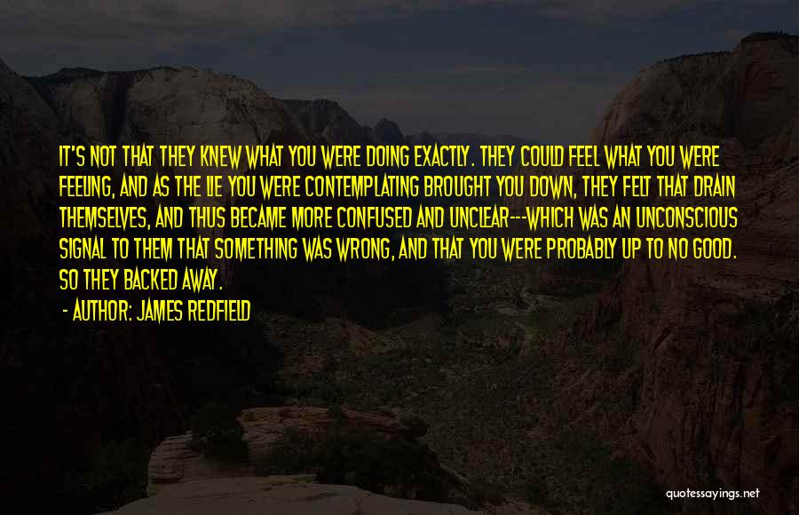 Feeling So Confused Quotes By James Redfield