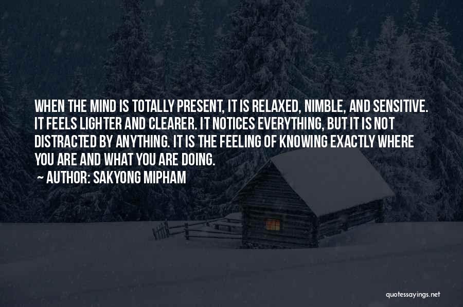 Feeling So Relaxed Quotes By Sakyong Mipham