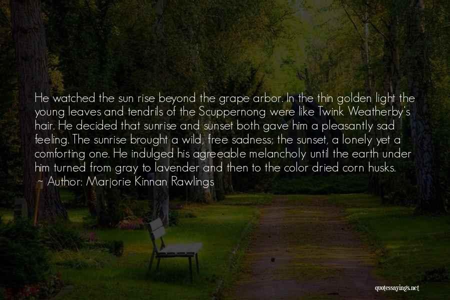 Feeling So Sad Lonely Quotes By Marjorie Kinnan Rawlings