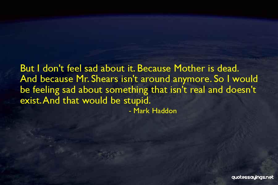 Feeling So Sad Quotes By Mark Haddon Feeling So Sad Quotes By Mark Haddon