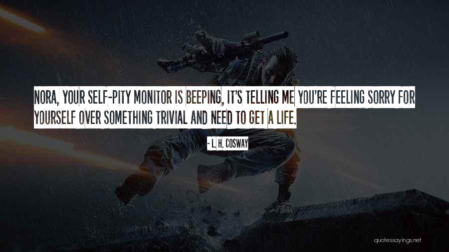 Feeling Sorry For You Quotes By L. H. Cosway Feeling Sorry For You Quotes By L. H. Cosway