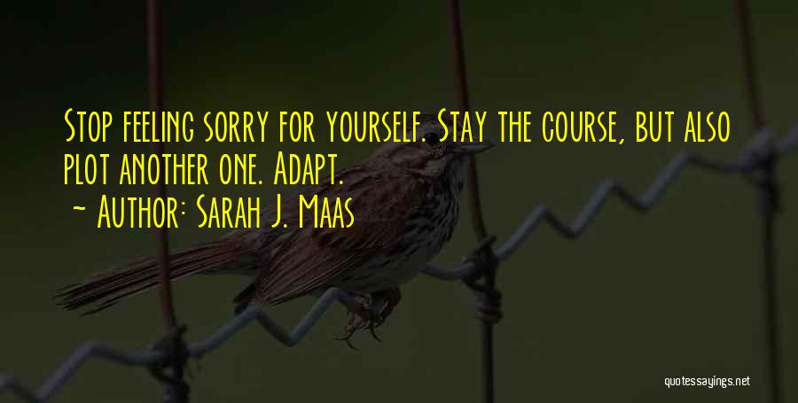Feeling Sorry For Yourself Quotes By Sarah J. Maas