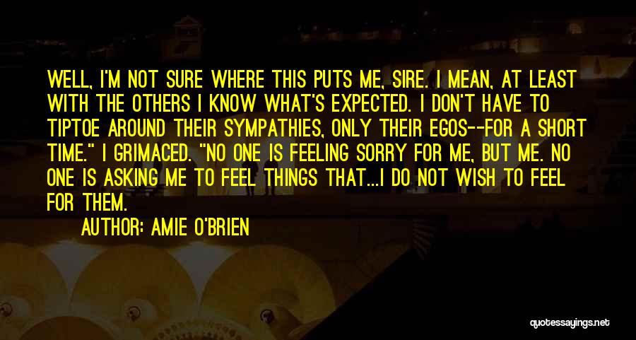 Feeling Sorry Quotes By Amie O'Brien