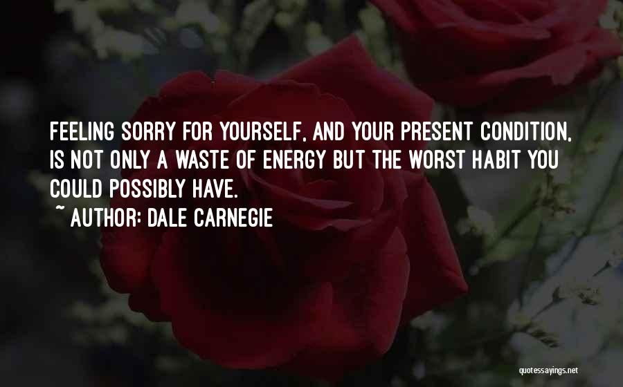 Feeling Sorry Quotes By Dale Carnegie