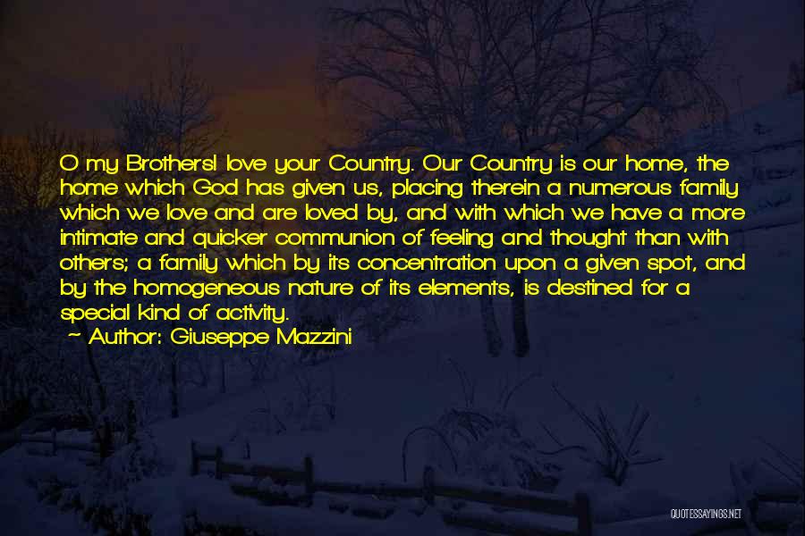 Feeling Special Love Quotes By Giuseppe Mazzini