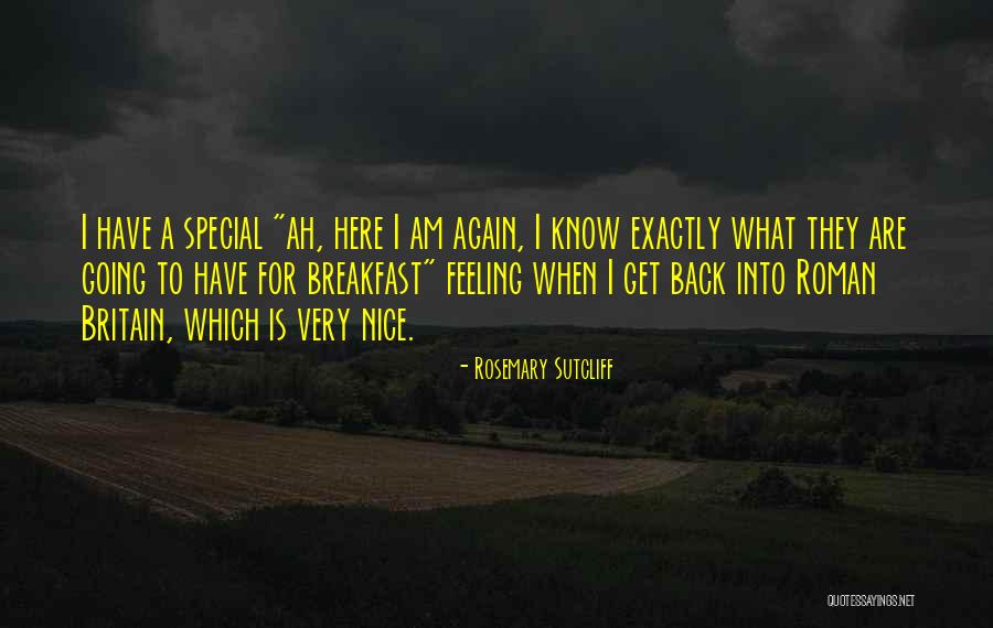 Feeling Special To Someone Quotes By Rosemary Sutcliff Feeling Special To Someone Quotes By Rosemary Sutcliff