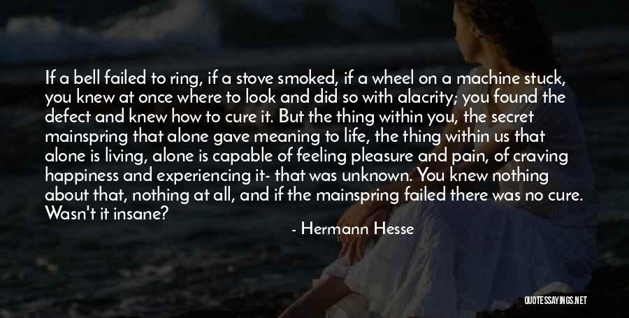 Feeling Stuck Life Quotes By Hermann Hesse