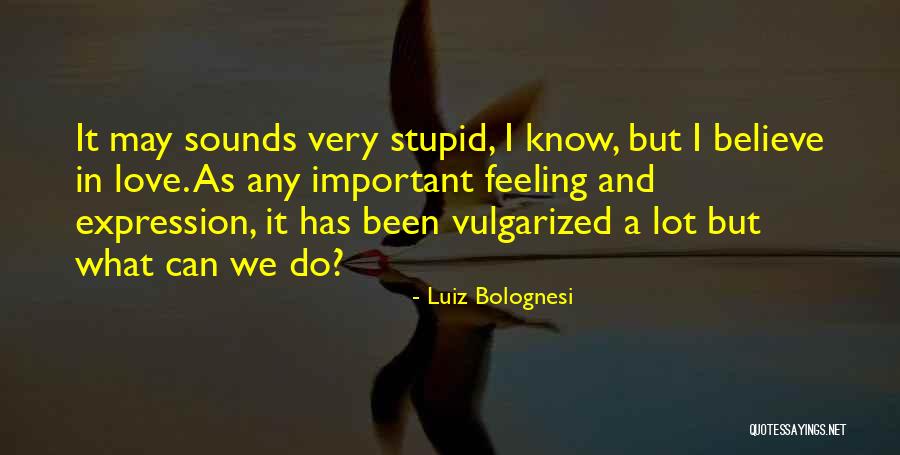 Feeling Stupid In Love Quotes By Luiz Bolognesi