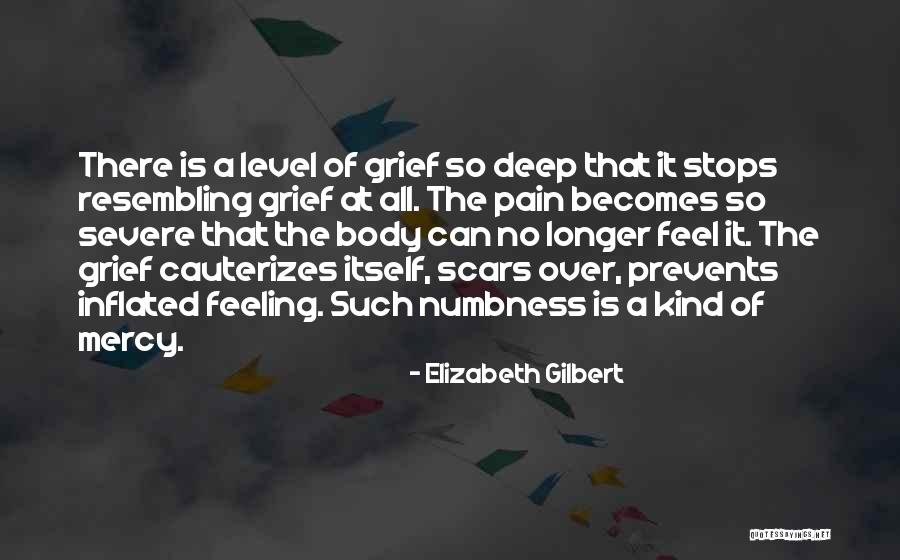 Feeling The Pain Quotes By Elizabeth Gilbert