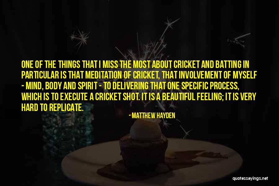 Feeling The Spirit Quotes By Matthew Hayden