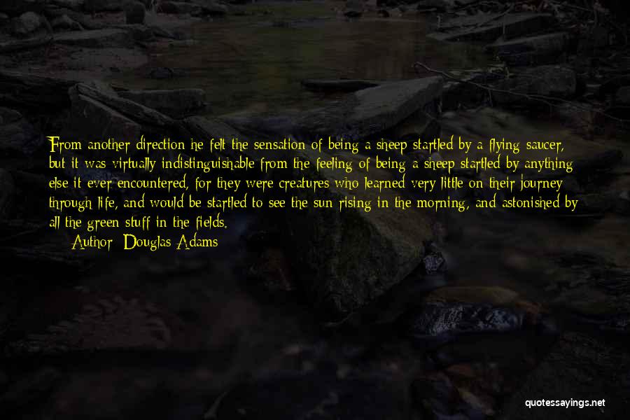 Feeling The Sun Quotes By Douglas Adams