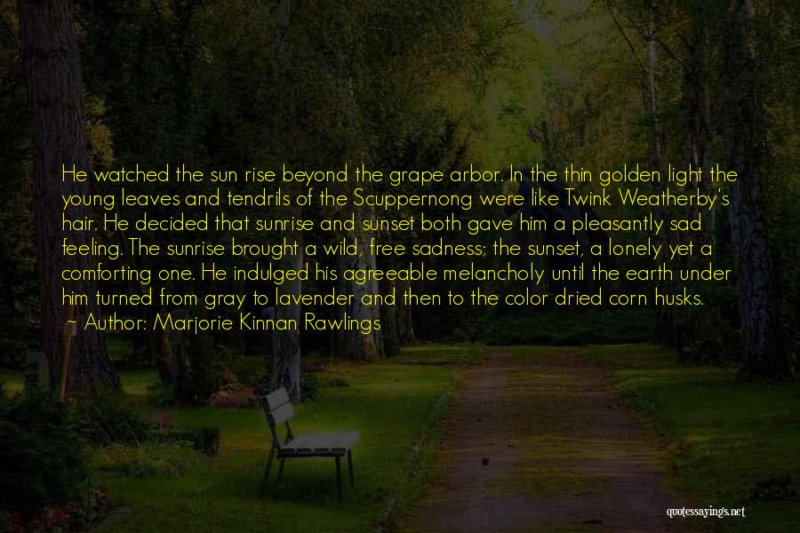 Feeling The Sun Quotes By Marjorie Kinnan Rawlings