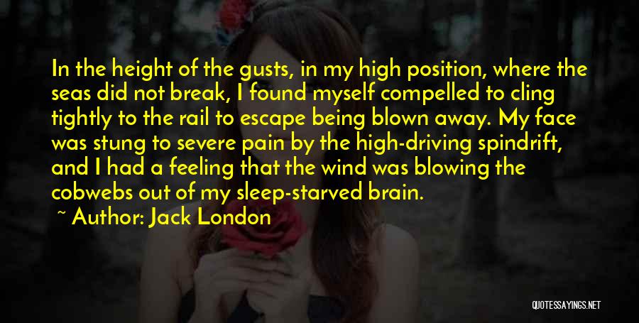 Feeling The Wind Quotes By Jack London
