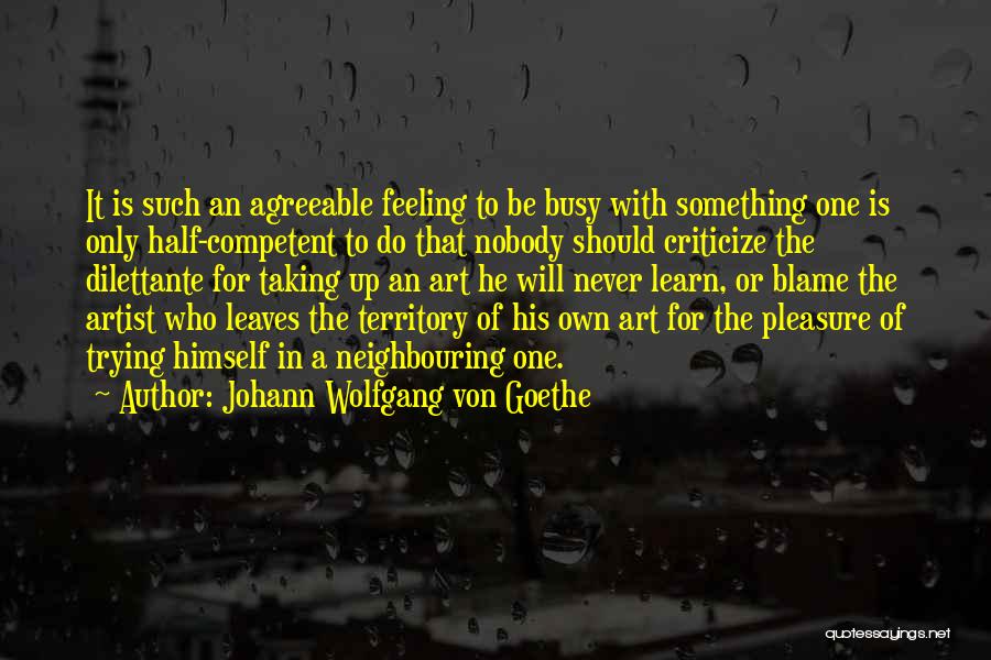 Feeling Too Busy Quotes By Johann Wolfgang Von Goethe