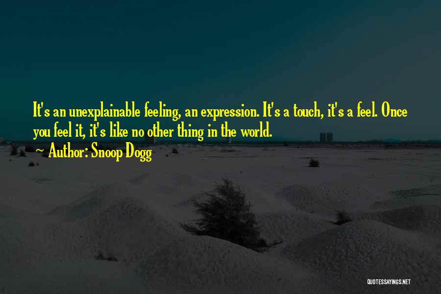 Feeling Unexplainable Quotes By Snoop Dogg