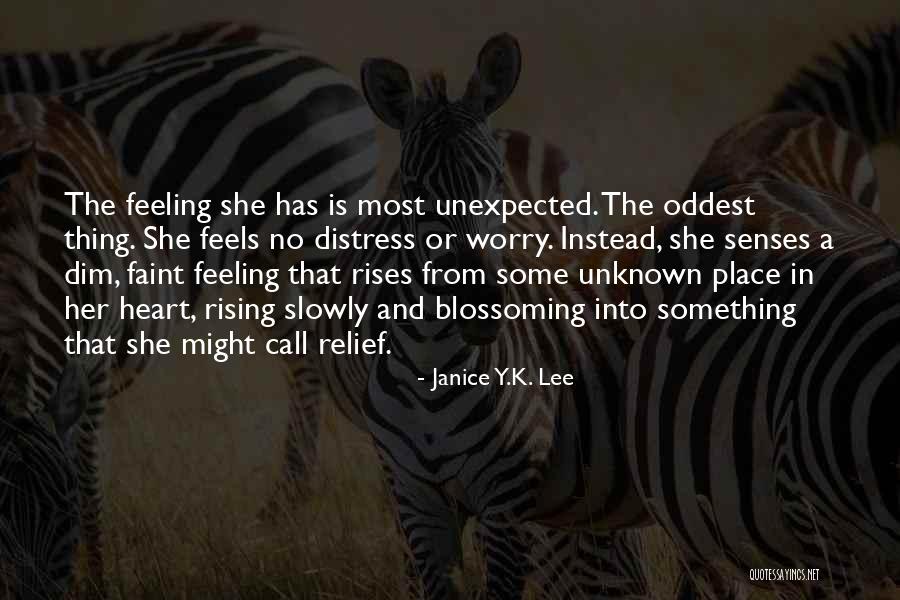 Feeling Unknown Quotes By Janice Y.K. Lee Feeling Unknown Quotes By Janice Y.K. Lee