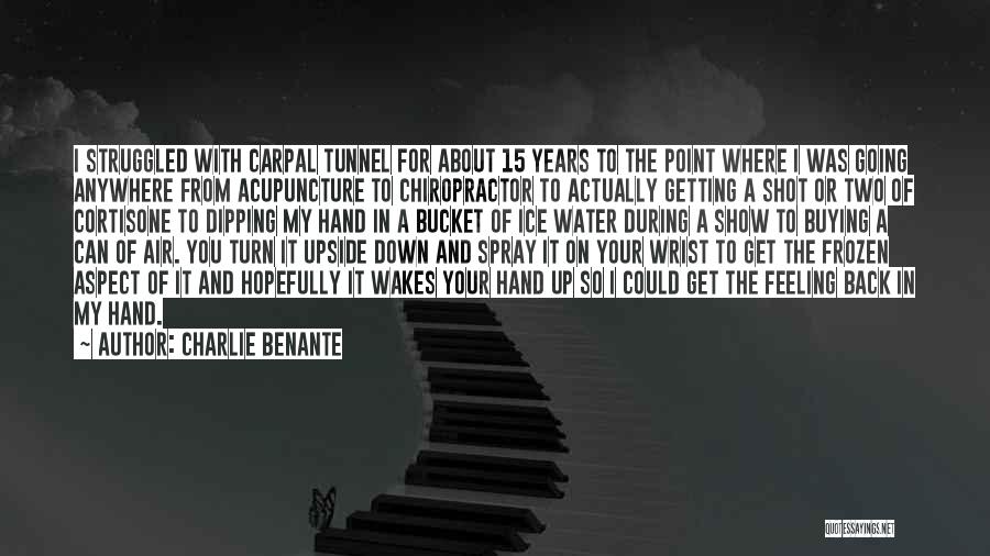 Feeling Upside Down Quotes By Charlie Benante