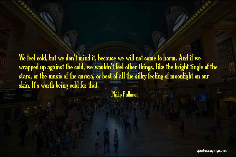 Feeling Worth It Quotes By Philip Pullman