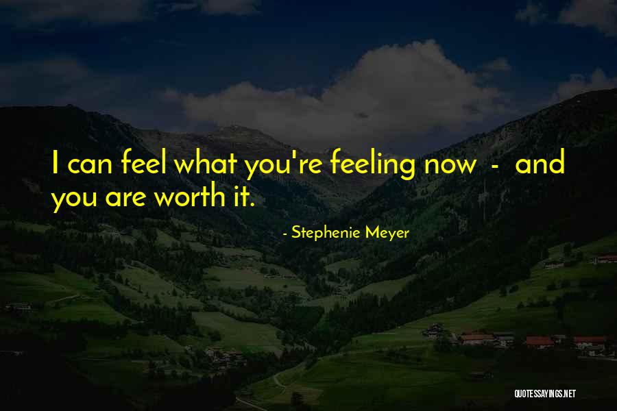 Feeling Worth It Quotes By Stephenie Meyer