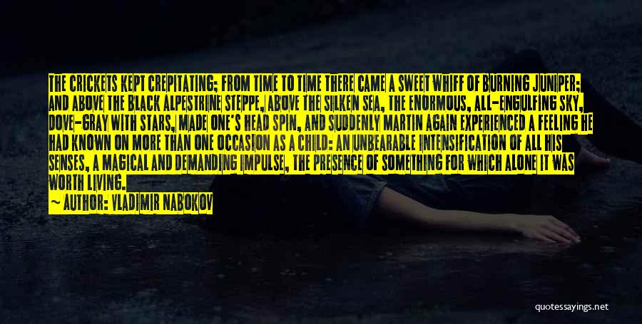 Feeling Worth It Quotes By Vladimir Nabokov