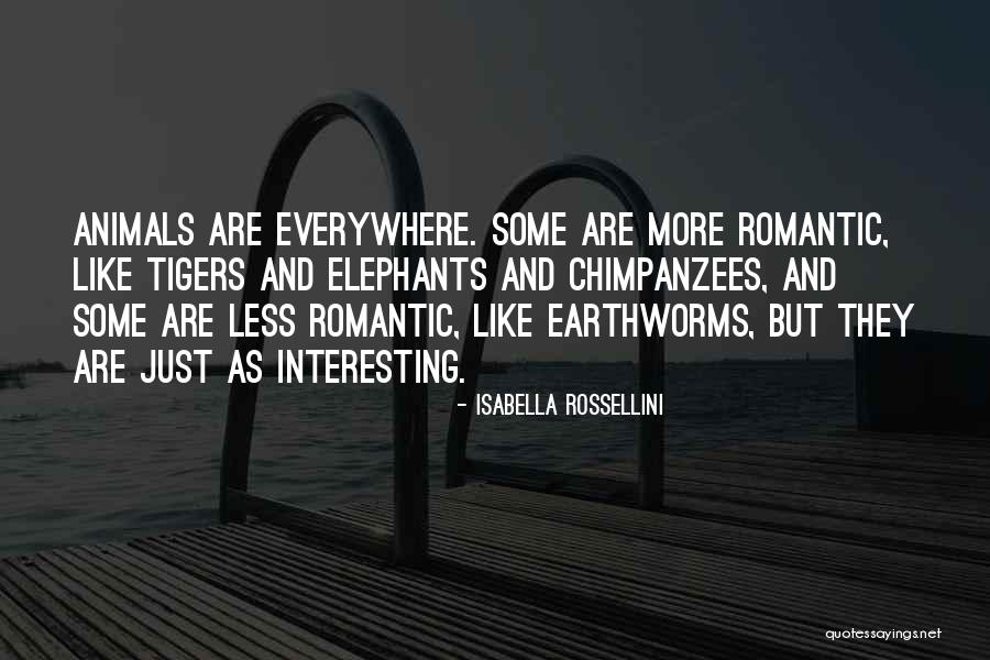 Feeling Your Heart Break Quotes By Isabella Rossellini Feeling Your Heart Break Quotes By Isabella Rossellini