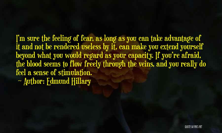 Feeling Yourself Quotes By Edmund Hillary