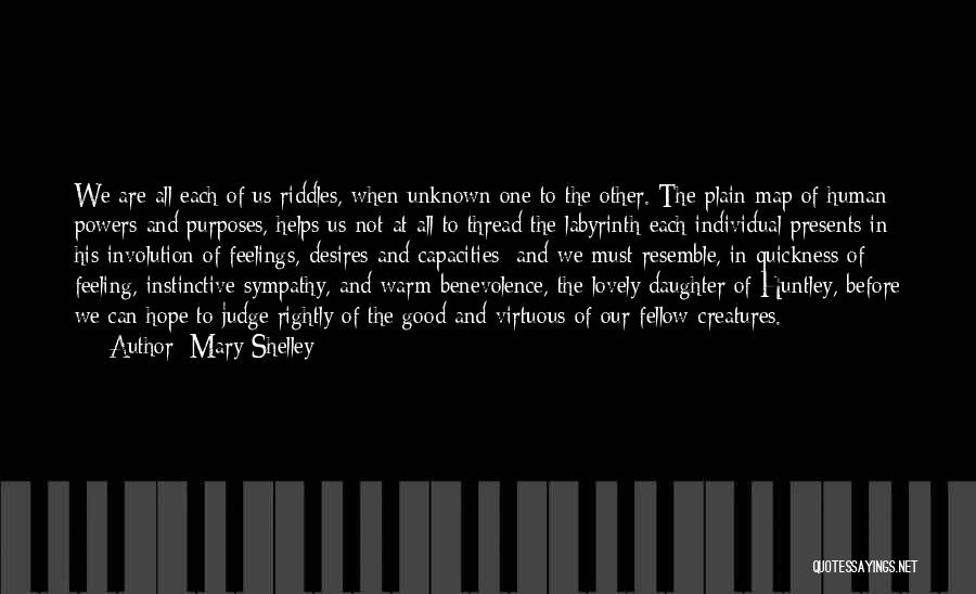 Feelings And Understanding Quotes By Mary Shelley