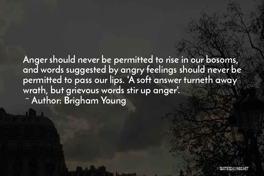 Feelings And Words Quotes By Brigham Young