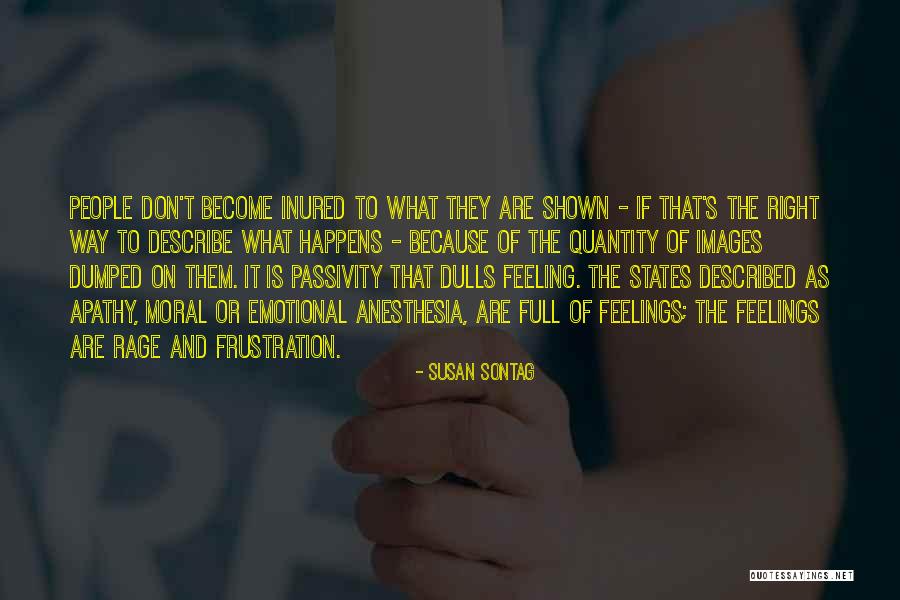 Feelings Images And Quotes By Susan Sontag Feelings Images And Quotes By Susan Sontag