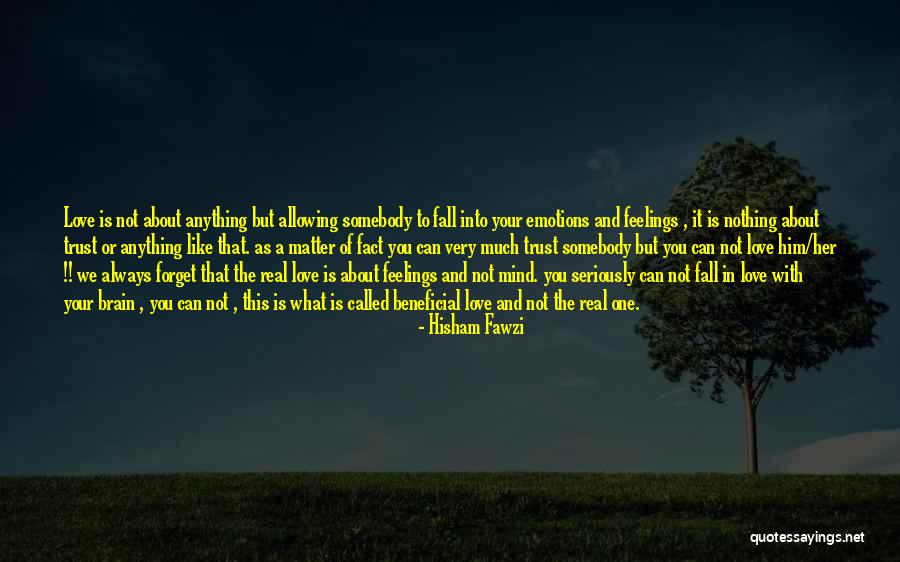 Feelings Matter Quotes By Hisham Fawzi Feelings Matter Quotes By Hisham Fawzi